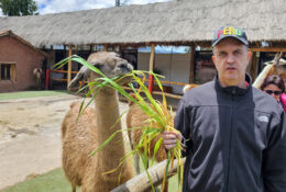 Peru_and_Bolivia_2025 (61/66)